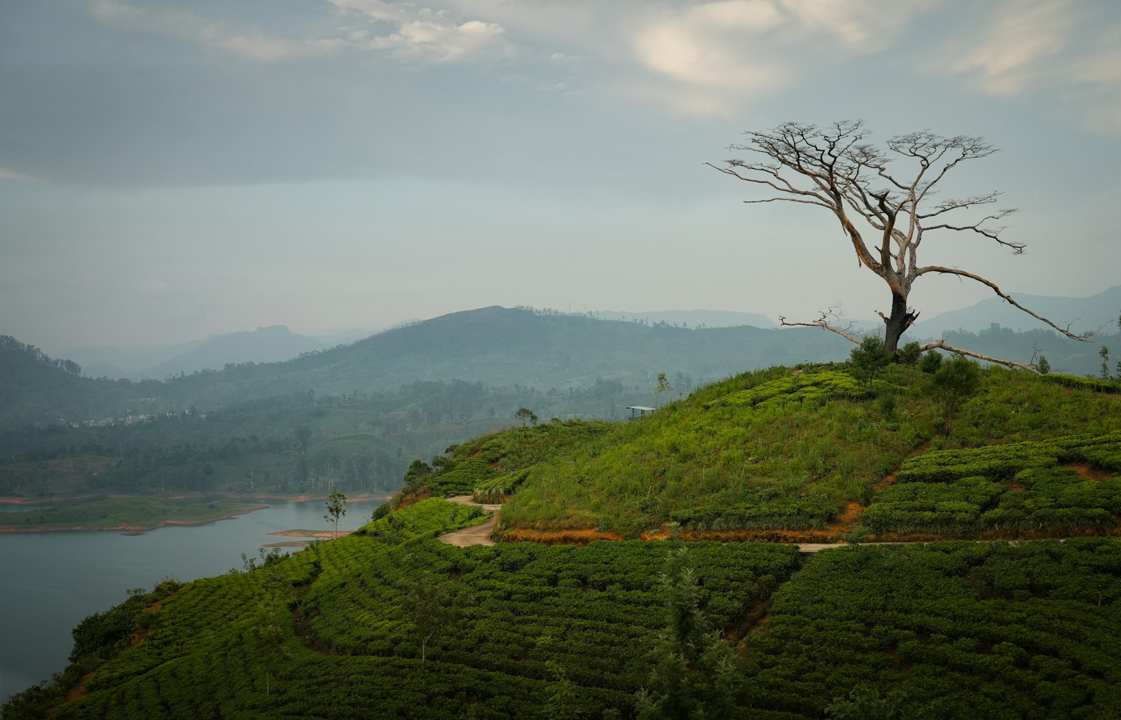 Sri Lanka — 5-Day Kandy, Nuwara Eliya & Bentota — Kandy · Nuwara Eliya · Yala · Bentota